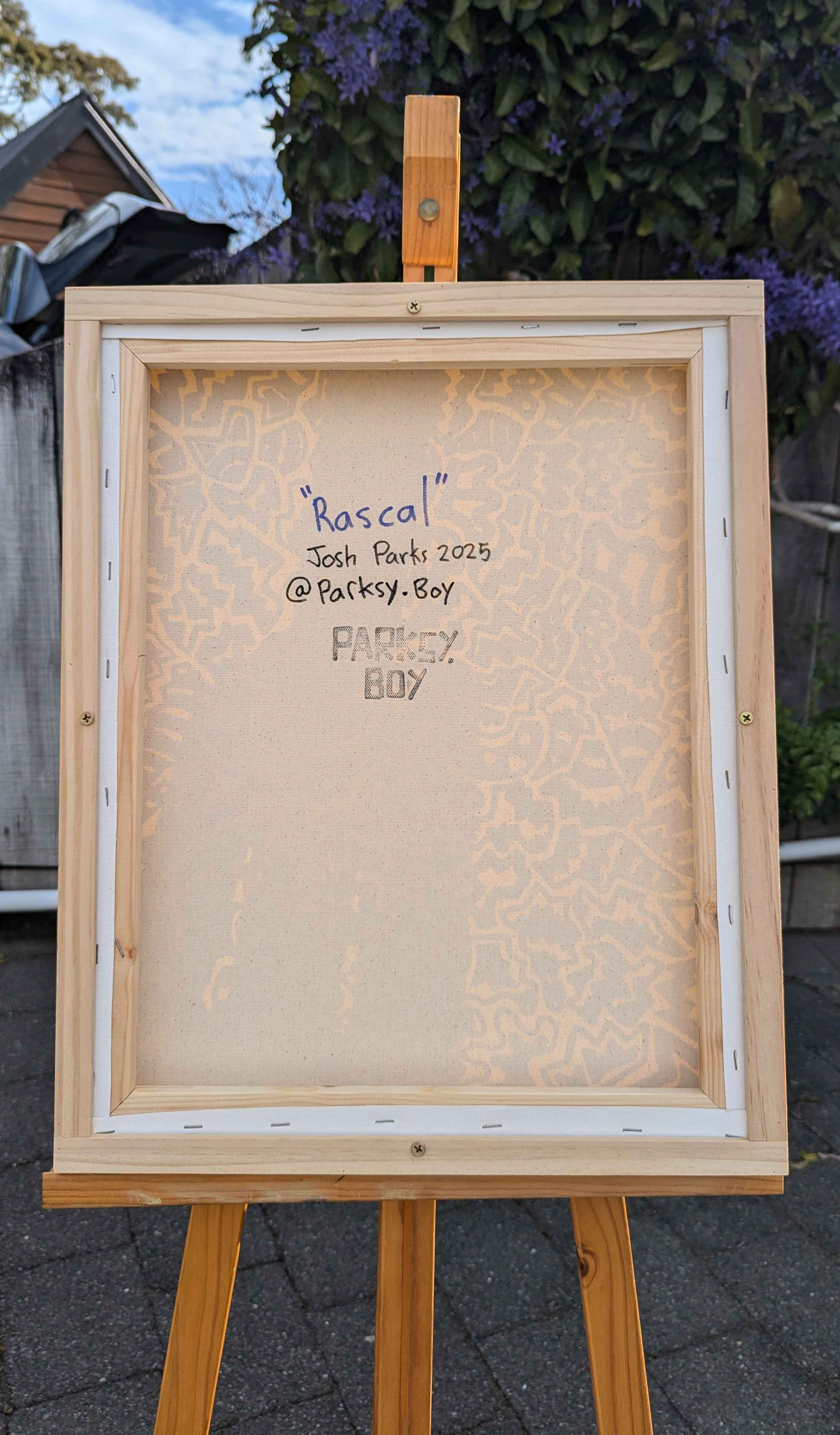 Rascal - Framed Acrylic on Canvas (520mm x 420mm)