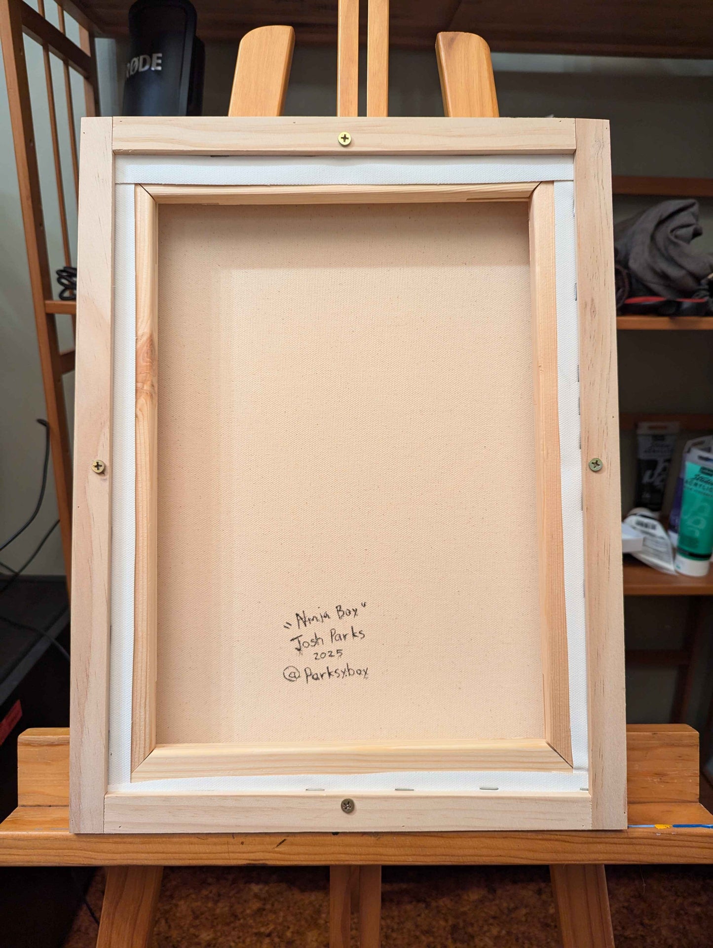 Ninja Boy - Framed Acrylic on Canvas (420mm x 320mm)