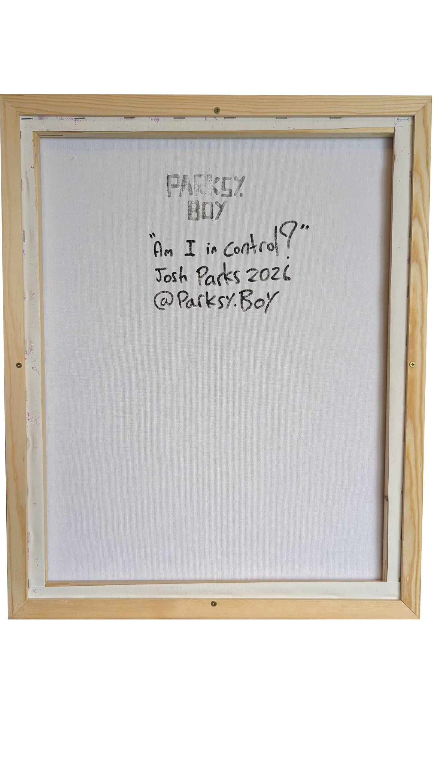 Am I in control? - Framed Acrylic on Canvas (520mm x 420mm)