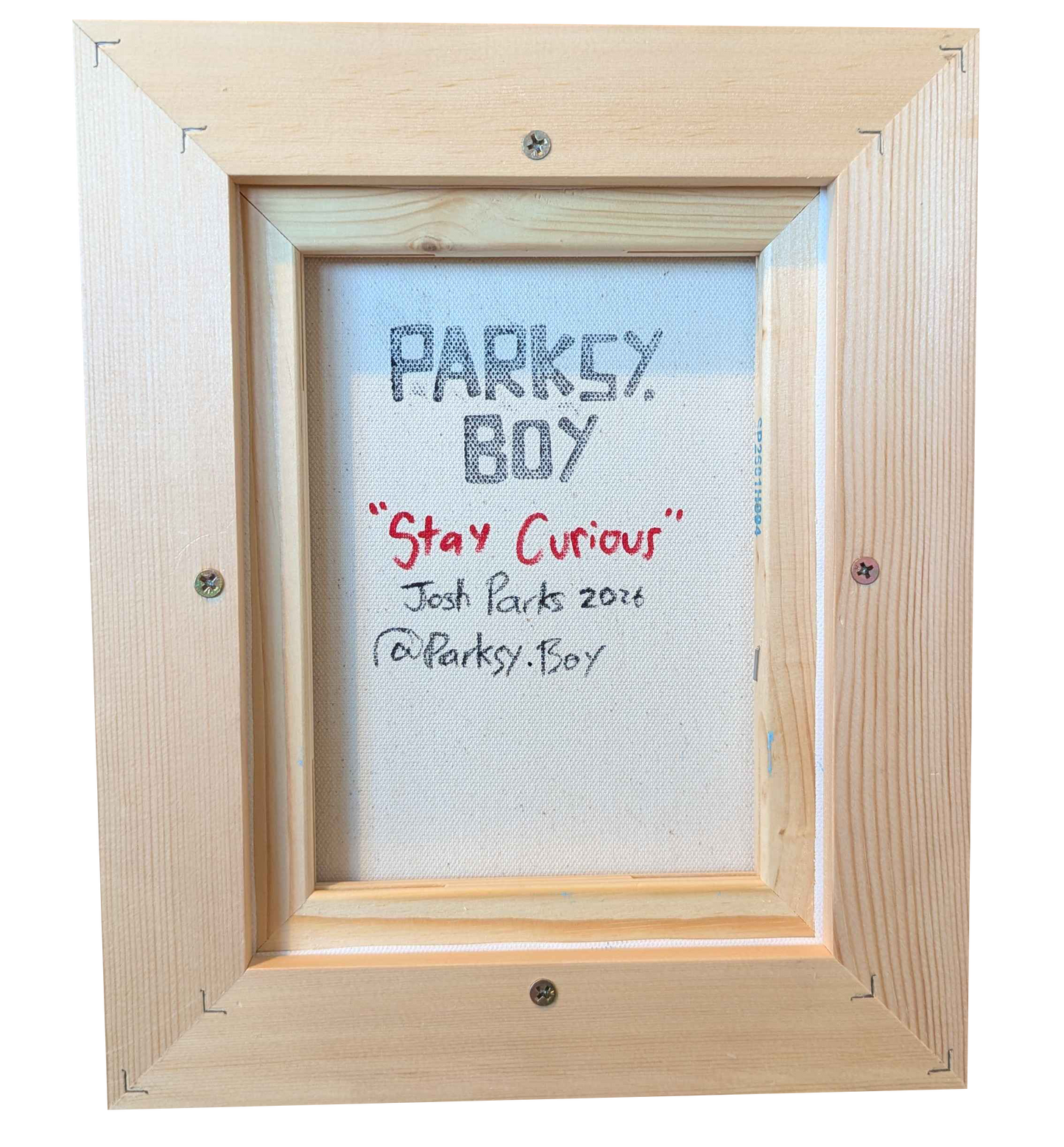 .Stay curious - Framed Acrylic on Canvas (250mm x 200mm)