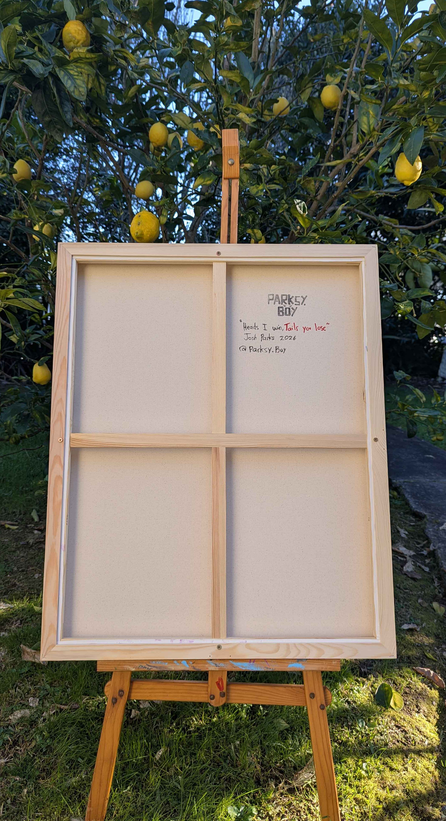 .Heads I win, Tails you lose - Framed Acrylic on Canvas (785mm x 630mm)