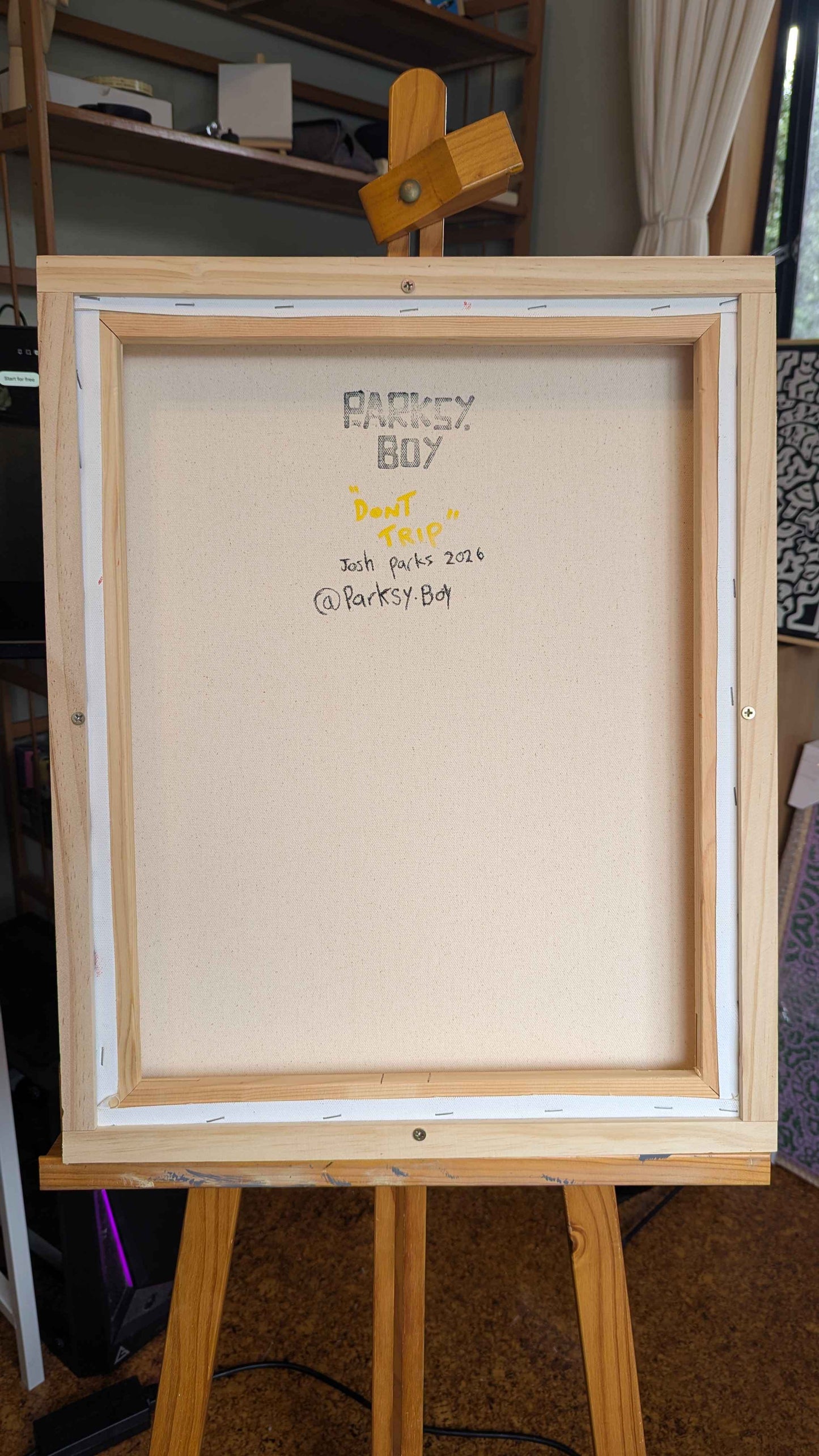 Dont Trip - Framed Acrylic on Canvas (520mm x 420mm)