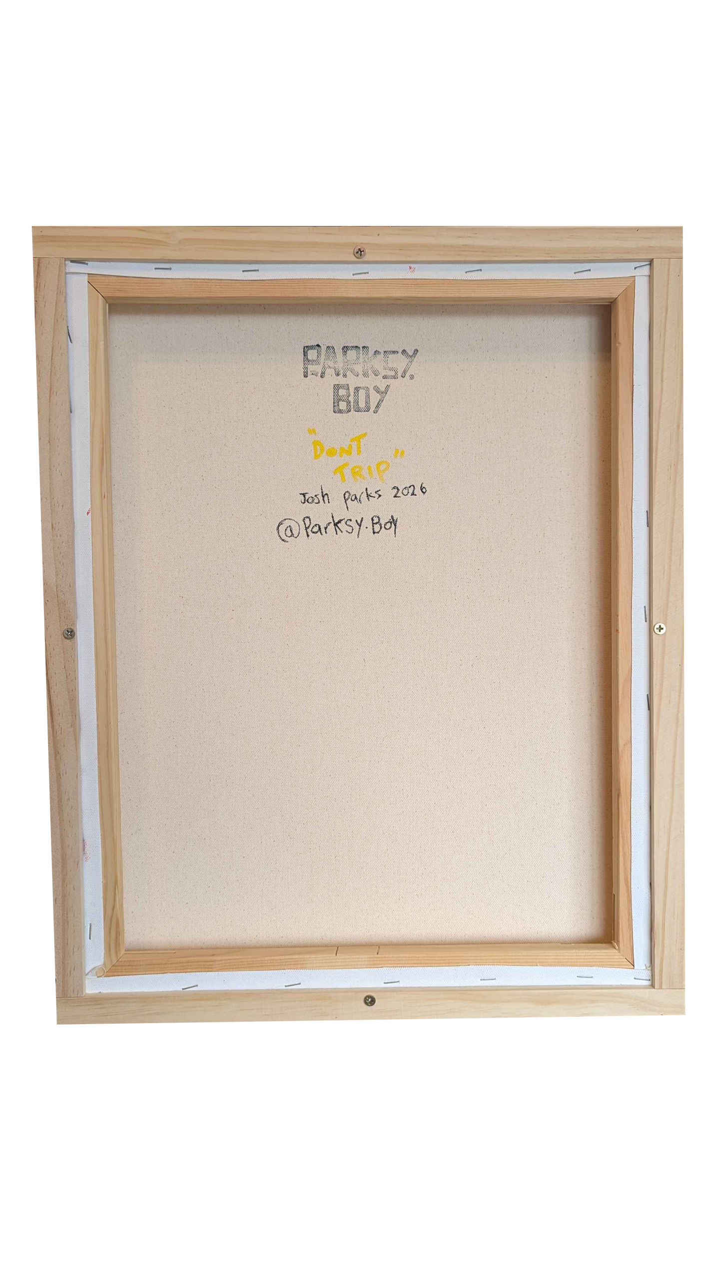 Dont Trip - Framed Acrylic on Canvas (520mm x 420mm)