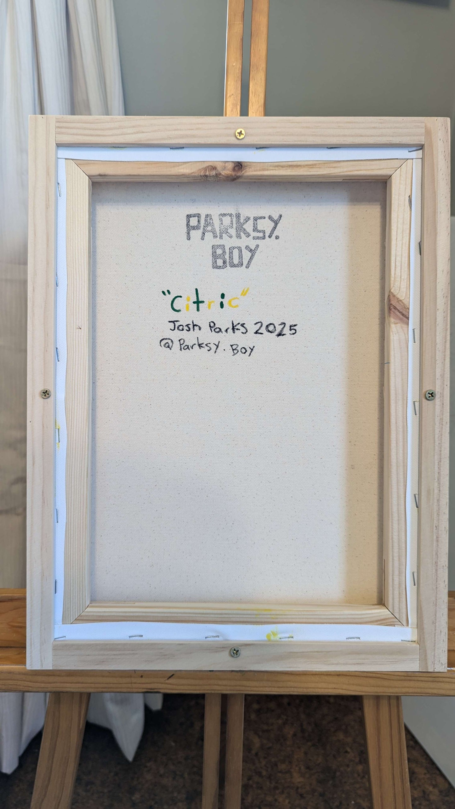 Citric - Framed Acrylic on Canvas (420mm x 320mm)