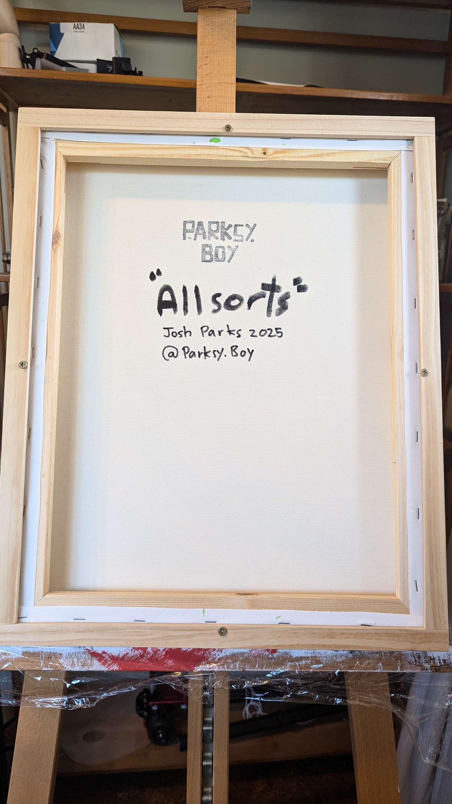 Allsorts - Framed Acrylic on Canvas (520mm x 420mm)