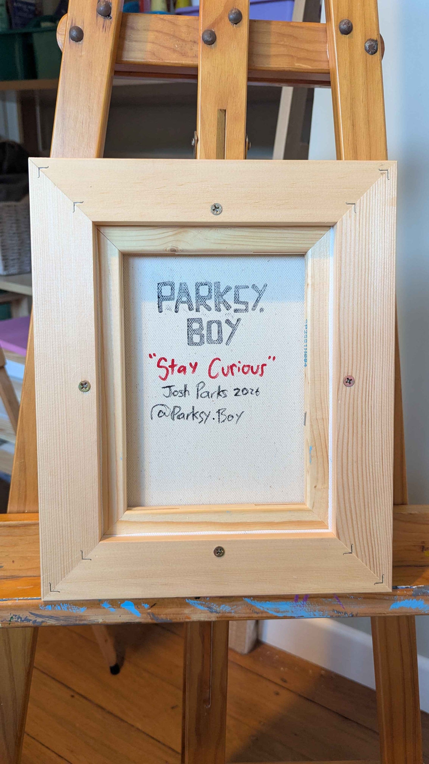 .Stay curious - Framed Acrylic on Canvas (250mm x 200mm)