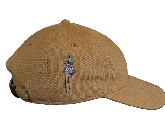 Dazy Canvas Cap