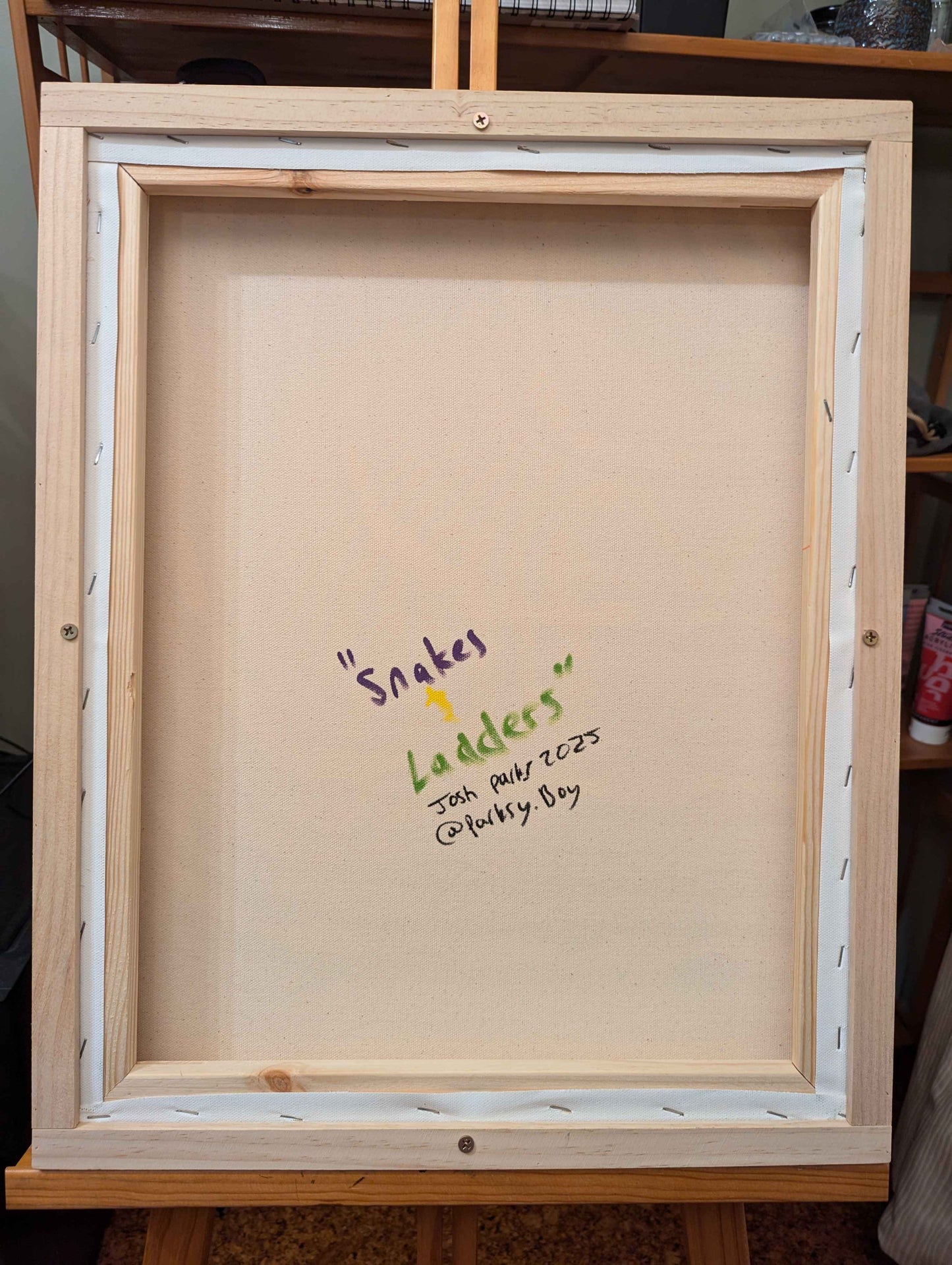 Snakes & Ladders - Framed Acrylic on Canvas (520mm x 420mm)